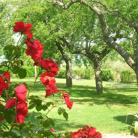 Bed and breakfast Mustafa 3*