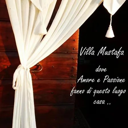 Bed and breakfast Mustafa 3*