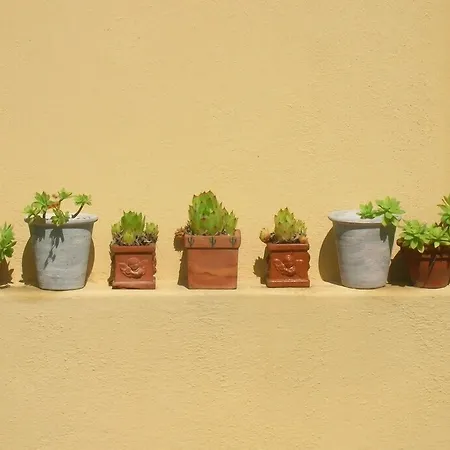 Bed & Breakfast Mustafa Montefalco