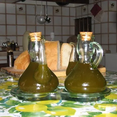 Bed and breakfast Mustafa Montefalco