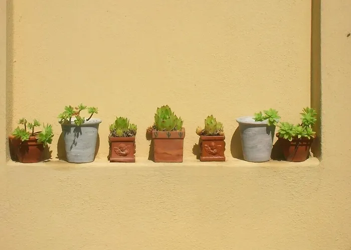 Panzió Mustafa Montefalco